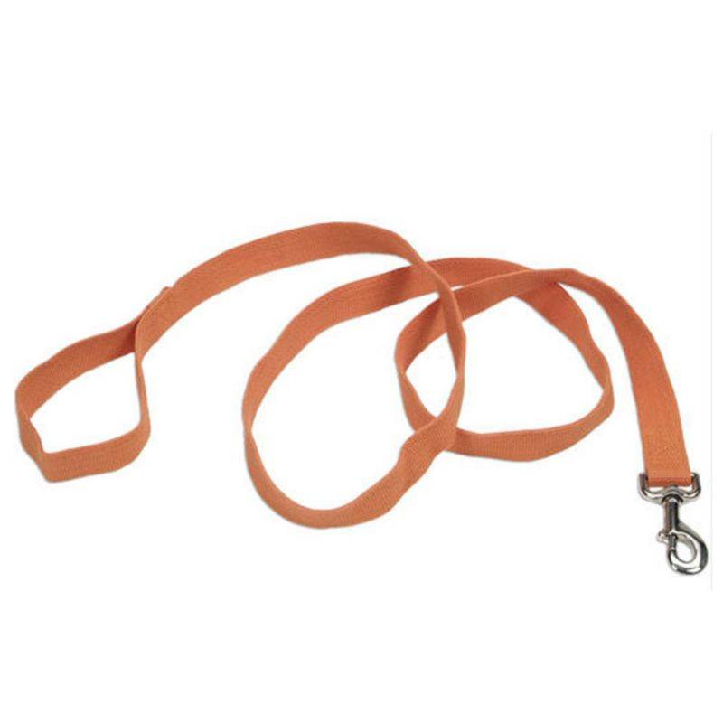 Soy Dog Lead