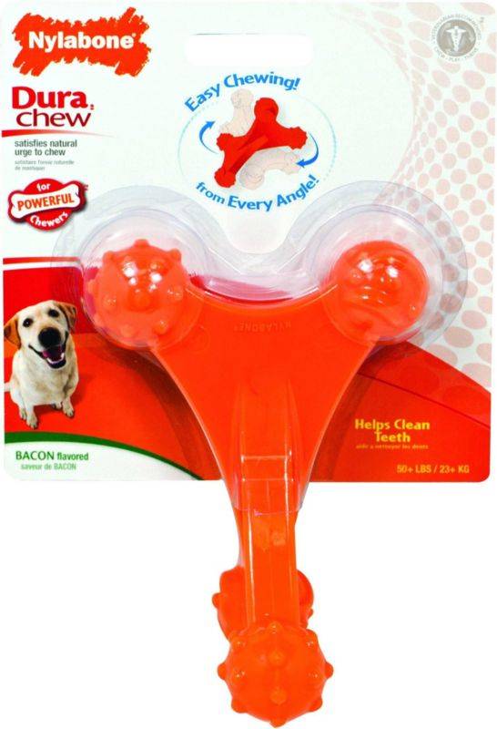 Nylabone Dura Chew Axis Bone - Bacon