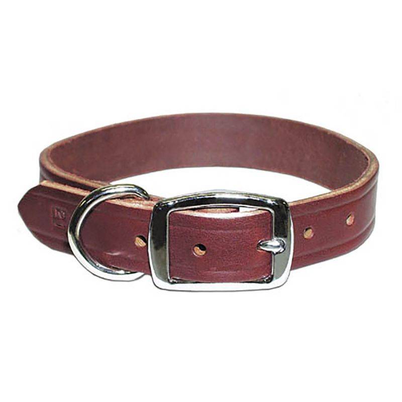 Premium Latigo Leather Dog Collar