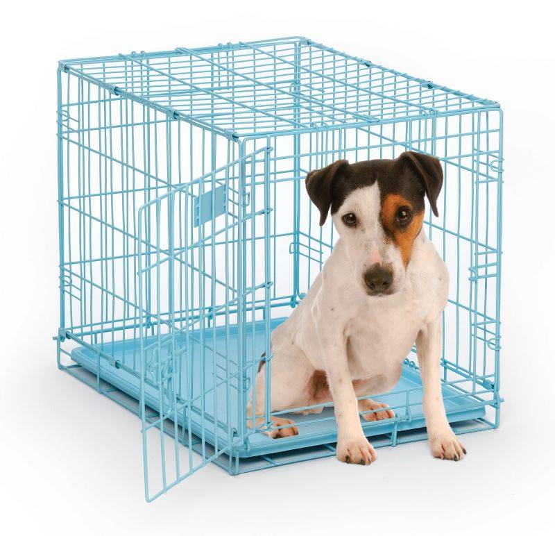 I-Crate Single Door