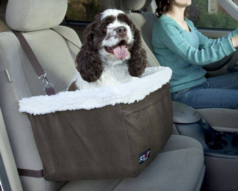 Solvit Tagalong Booster Seat