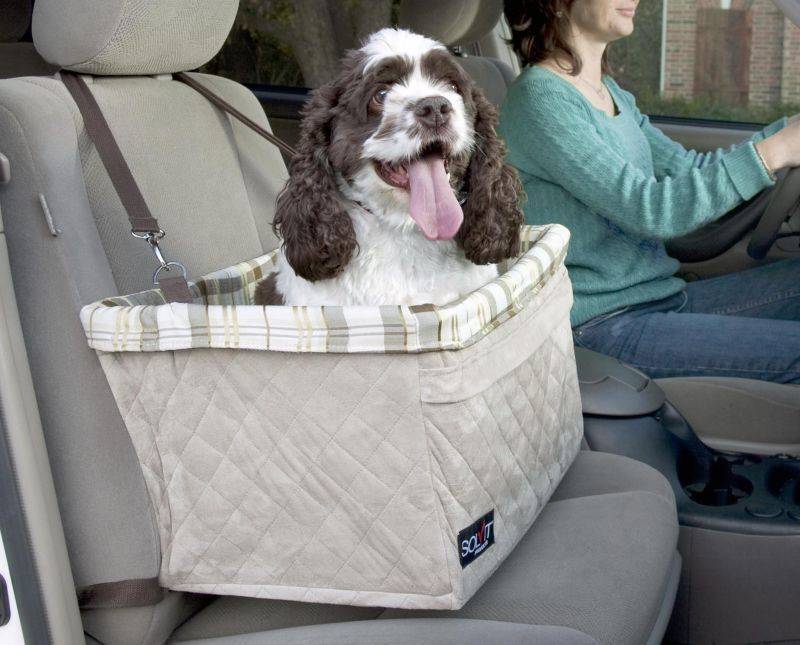 Solvit Deluxe Tagalong Booster Seat