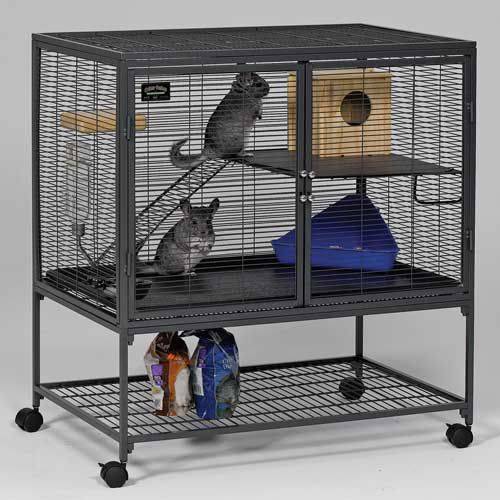 Critter Nation Single Unit
