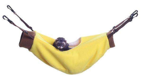 Marshall Banana Hammock