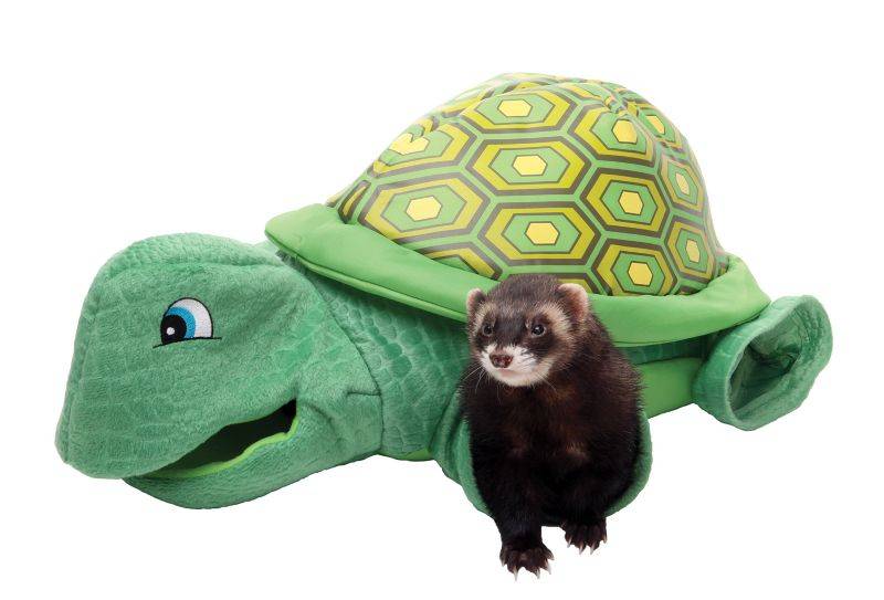 Marshall Turtle Tunnel