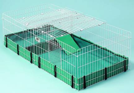 Guinea Habitat Plus
