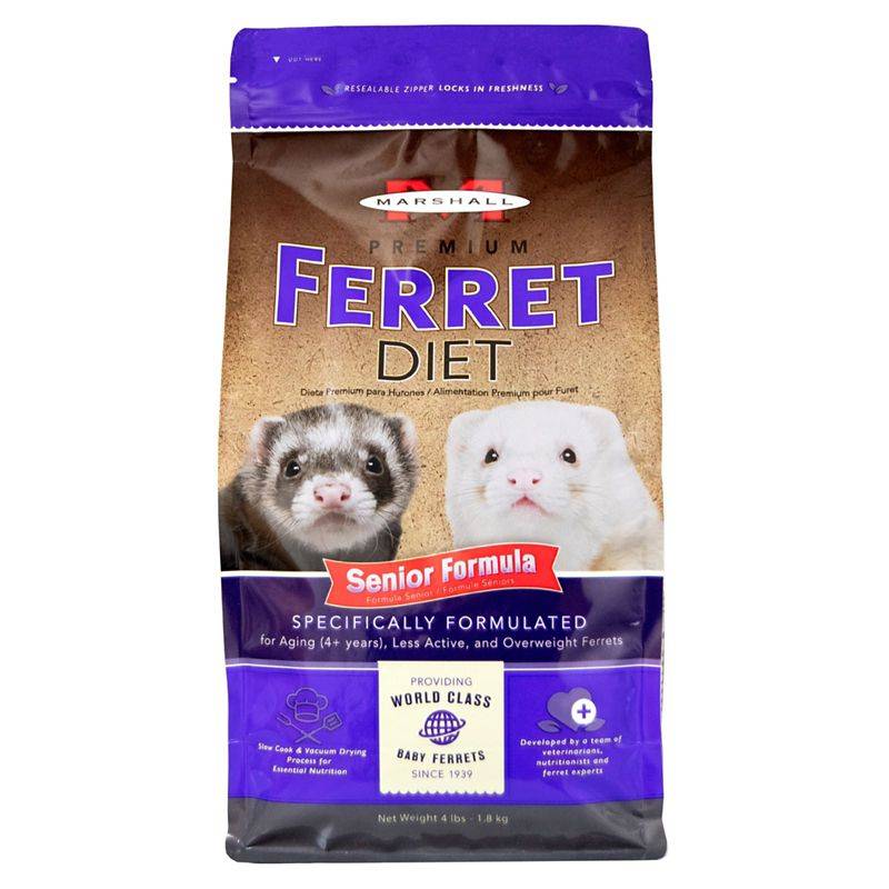 Senior Ferret Food Diet