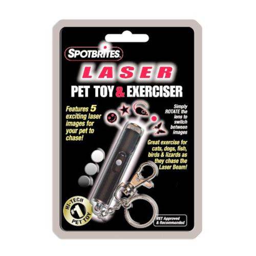 Hologram Laser Toy