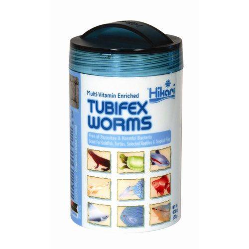 Tubifex Worms