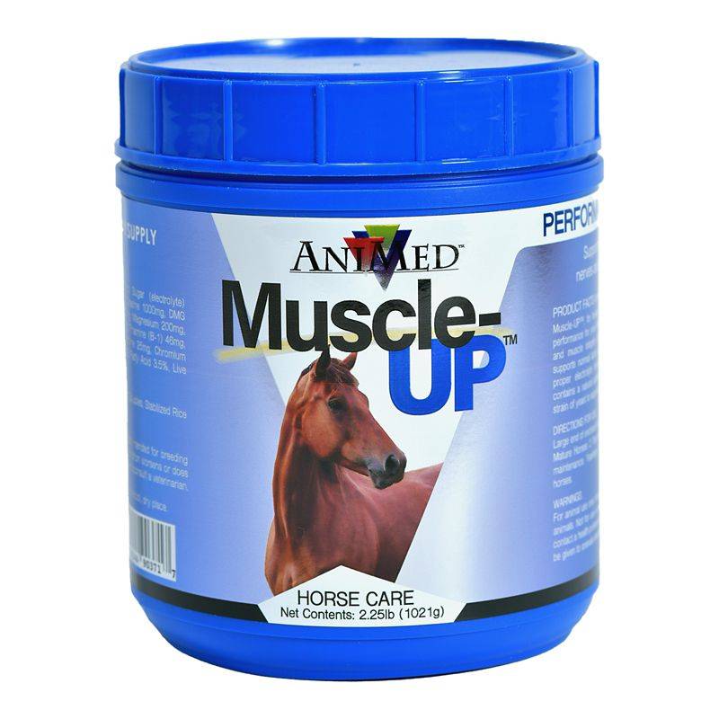 AniMed Muscle-Up Supplement For Horses