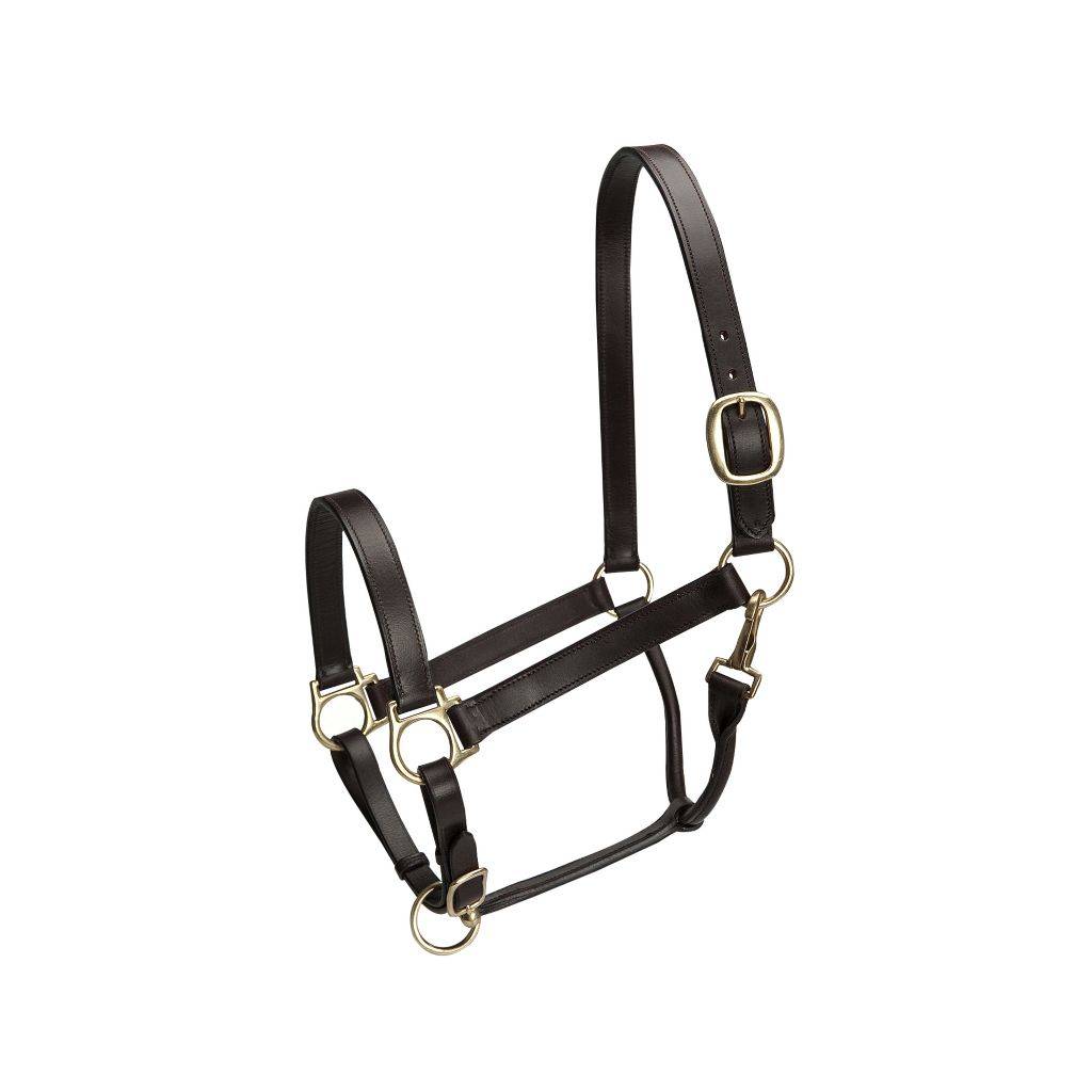 Camelot Stable Halter Cob