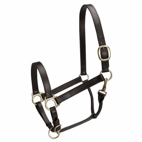 Camelot Stable Halter