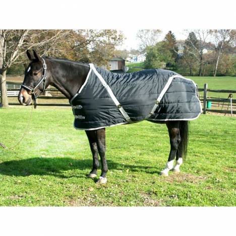 Snuggie Mini Stable Blanket