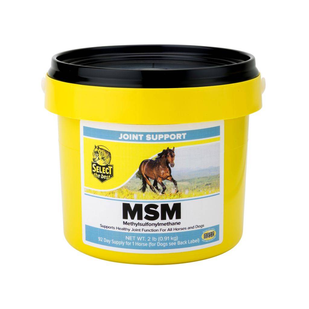 Select the Best MSM Powder