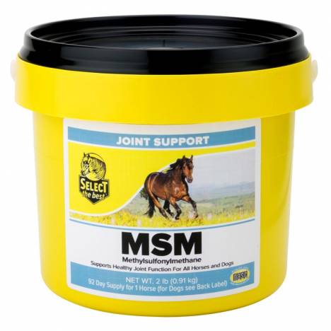 Select the Best MSM Powder