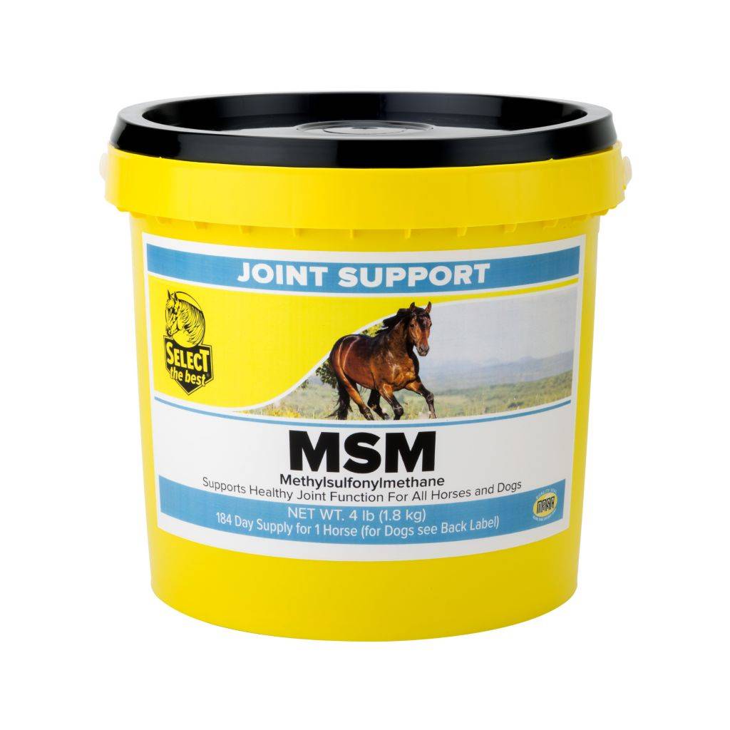 Select the Best MSM Powder