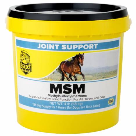 Select the Best MSM Powder