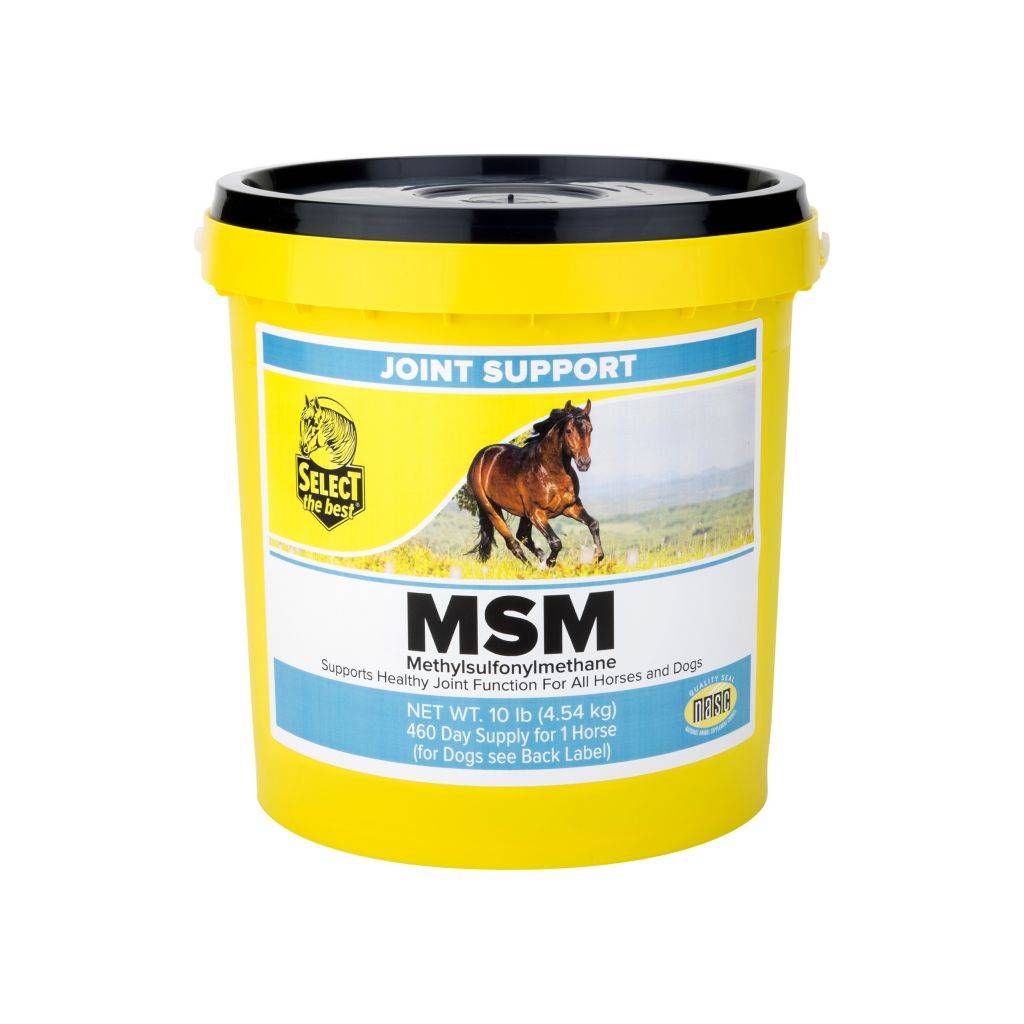 Select the Best MSM Powder