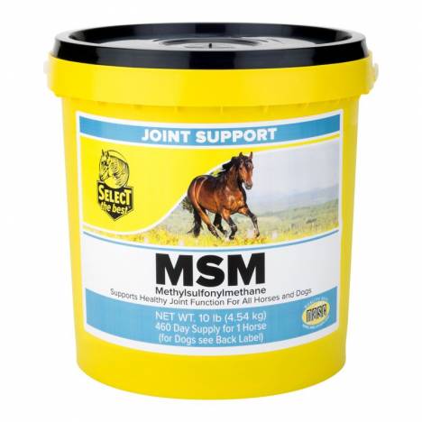 Select the Best MSM Powder