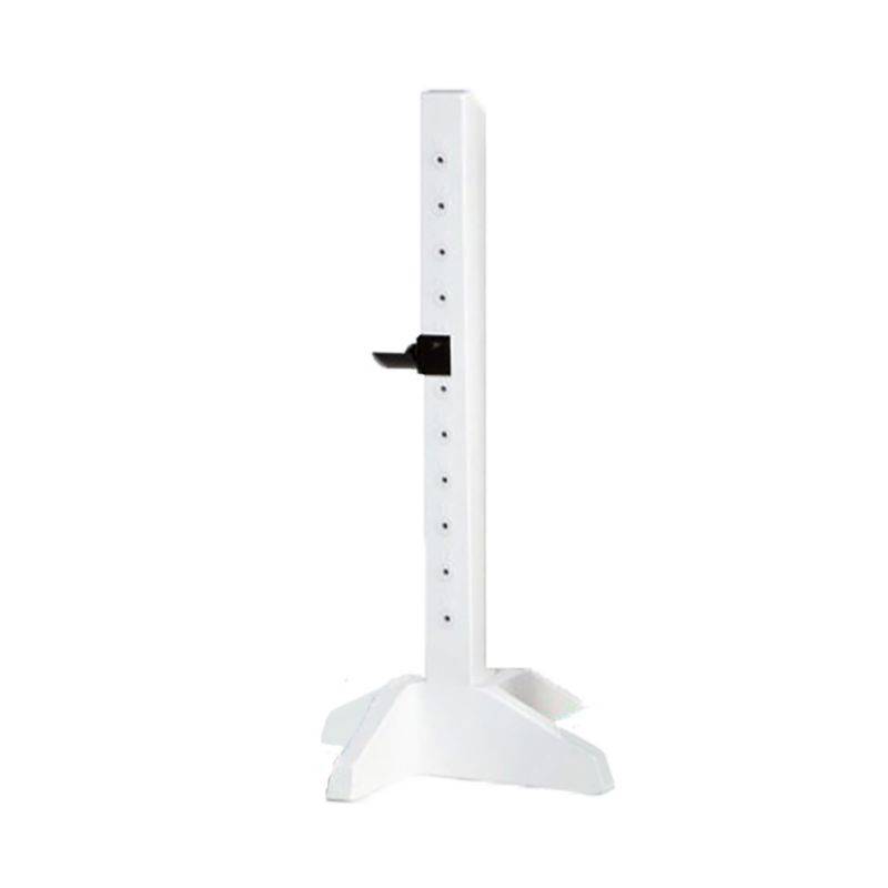 Burlingham Sports Pony Post Standard