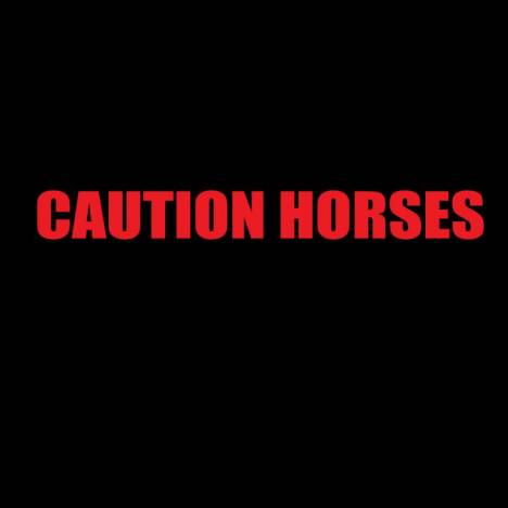 Reflective Trailer Decal - Caution Horses