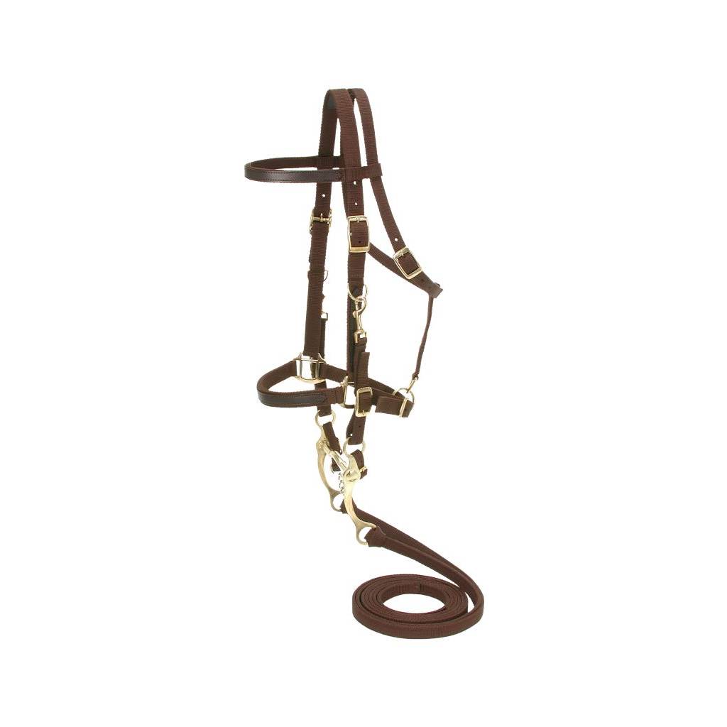 Australian Outrider Collection Nylon Bridle/Halter Combination