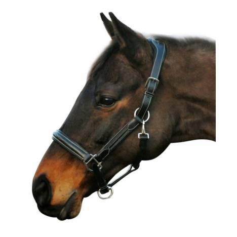 Henri de Rivel Stress Free Halter with Fancy Contrast Stitching