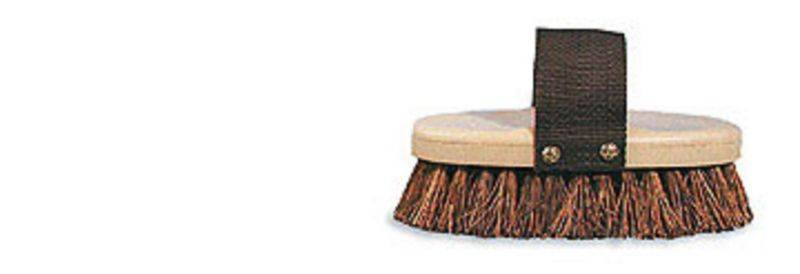 Gripfit Palmyra Brush For Horse Grooming