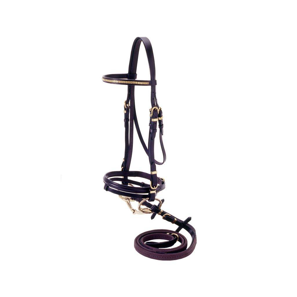Silver Fox Flash Bridle with Brass Browband