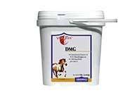 Vita Flex DMG Performance Supplement