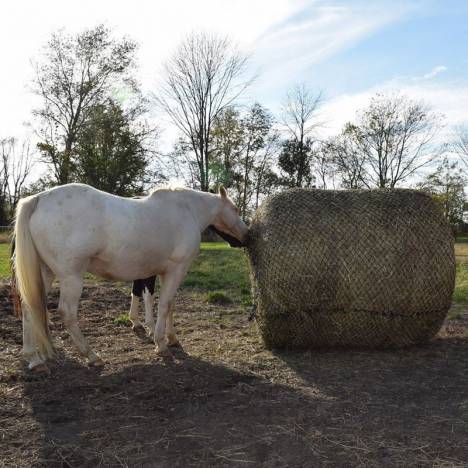 Tough-1 Round Bale Slow Feeder