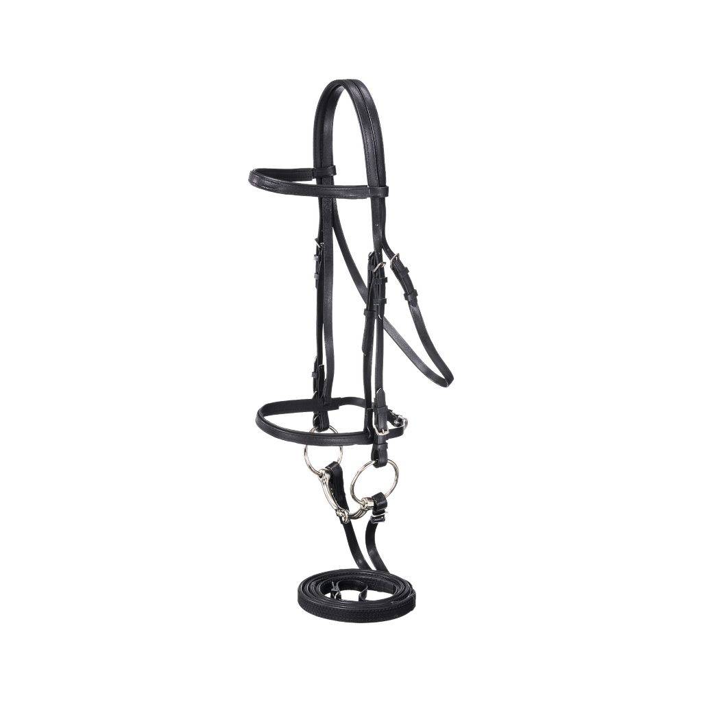 Biothane Snaffle Bridle