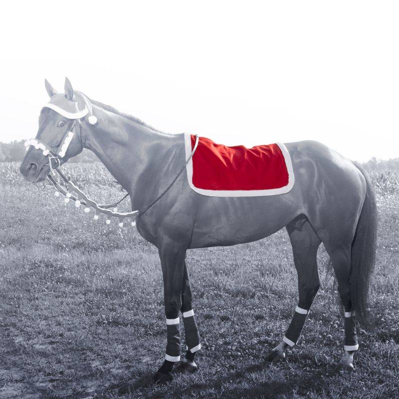 Santa English Pad Cover from Tough1