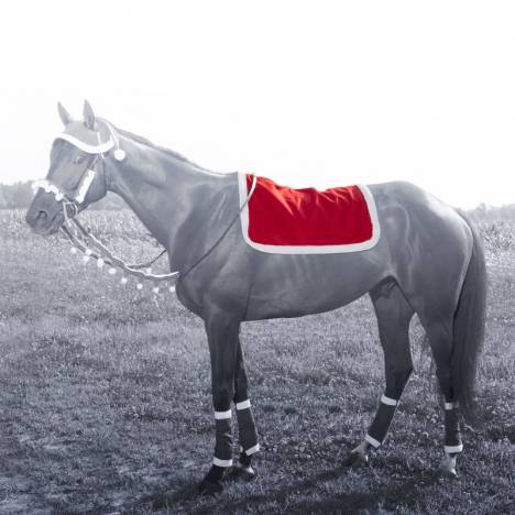Santa English Pad Cover from Tough1