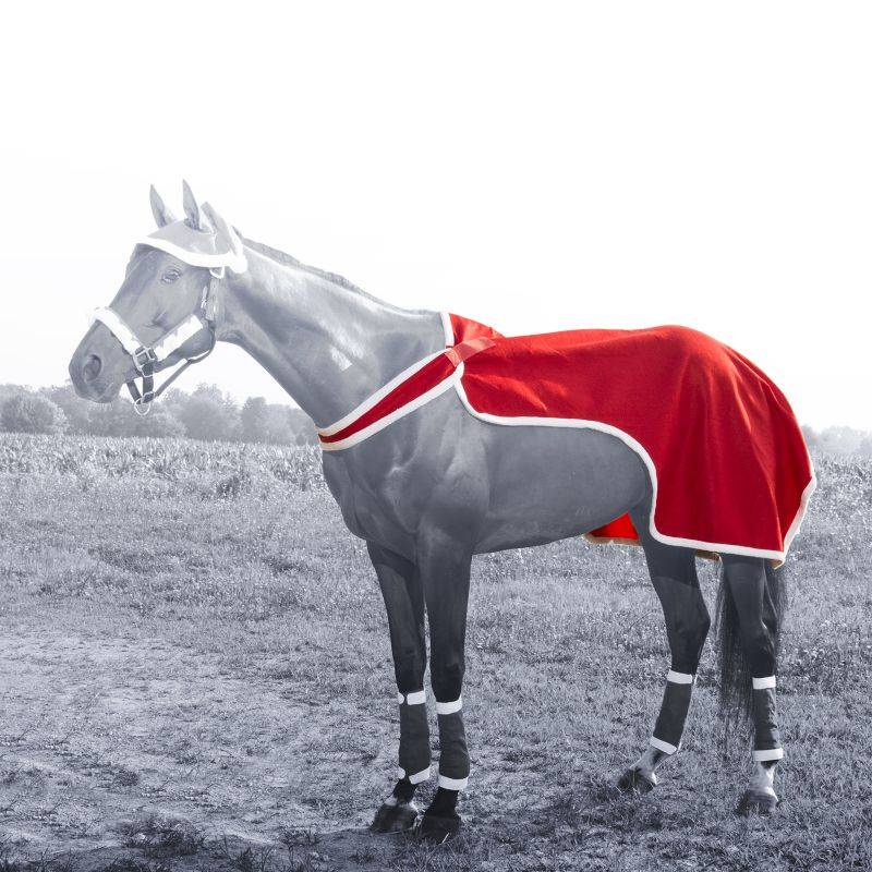 Santa Quarter Sheet/Breastcollar from Tough1