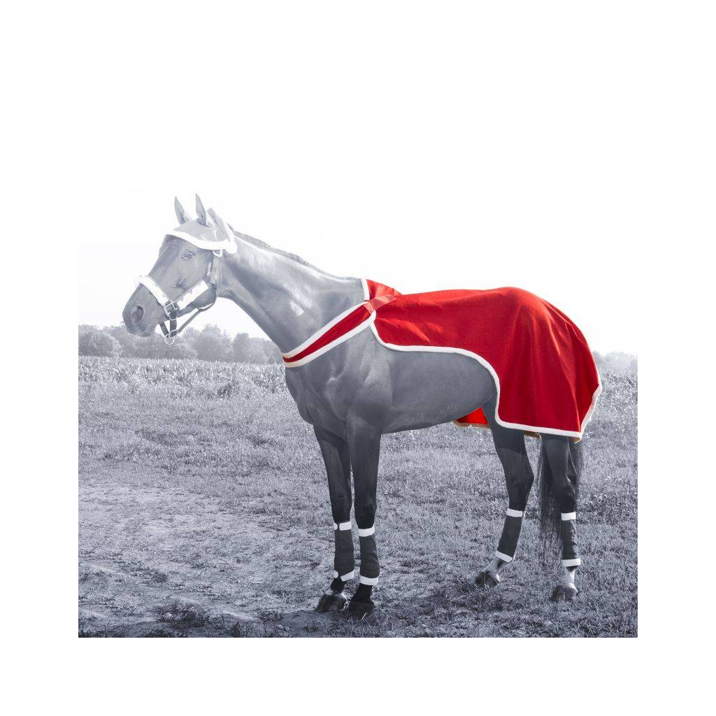 Santa Quarter Sheet/Breastcollar from Tough1
