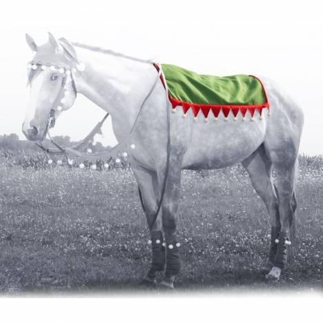 Elf Western Pad Cover from Tough1