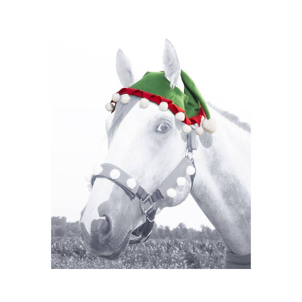 Elf Two Ear Horse Hat from Tough-1