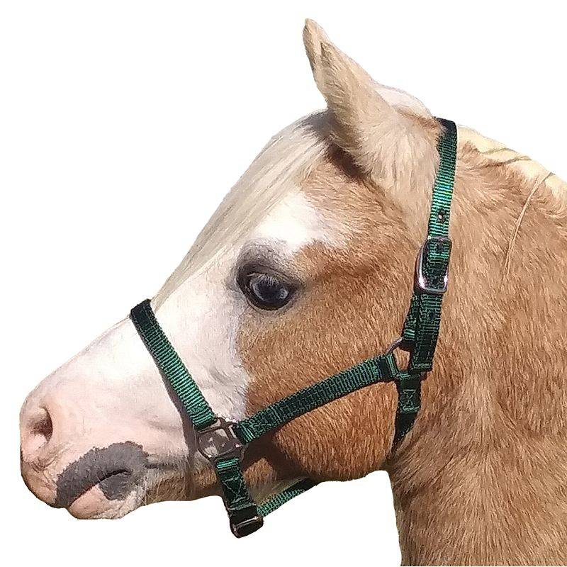 Ozark Mini Nylon Halter 5/8 Inch