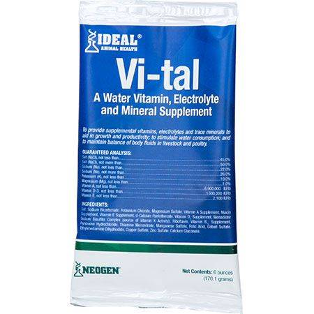 Neogen Vi-Tal Electrolyte