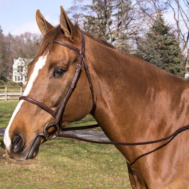 Shannon Raised Snaffle Bridle