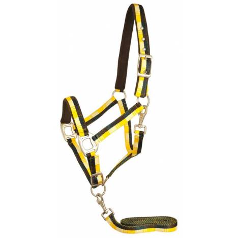 Gatsby Terra Fleece Padded Nylon Halter with Matching Lead