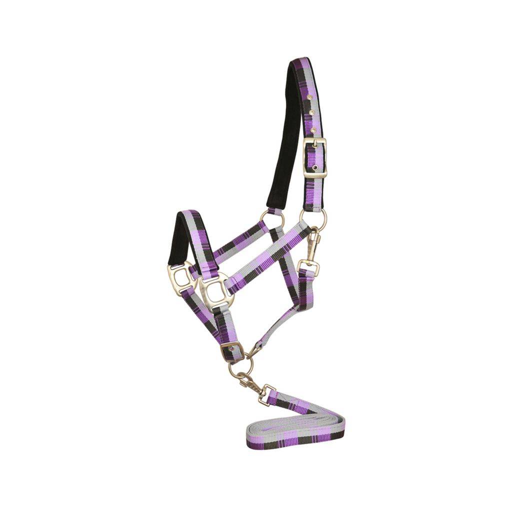 Gatsby Terra Fleece Padded Nylon Halter with Matching Lead