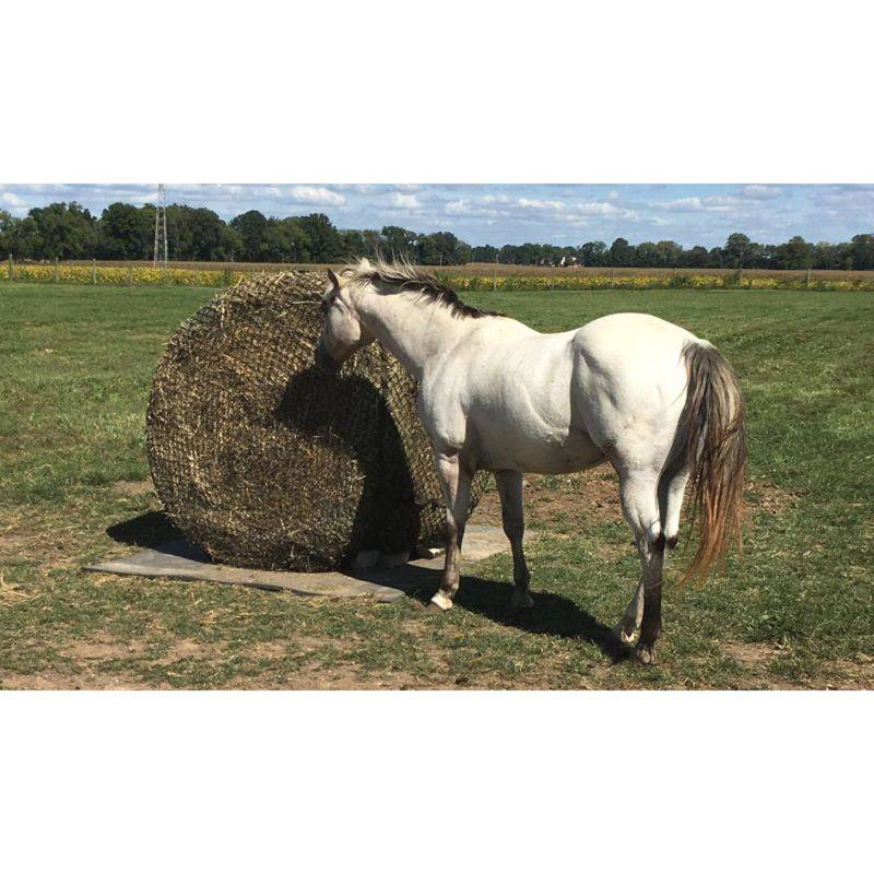 Tough1 6x6 Round Bale Net - 1 1/2"