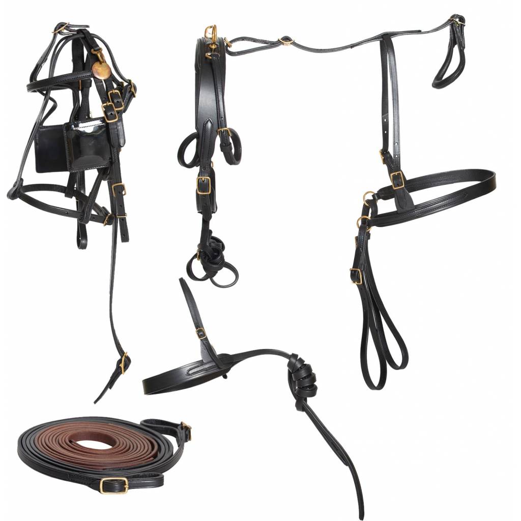 Ozark Mini/Pony Leather Harness