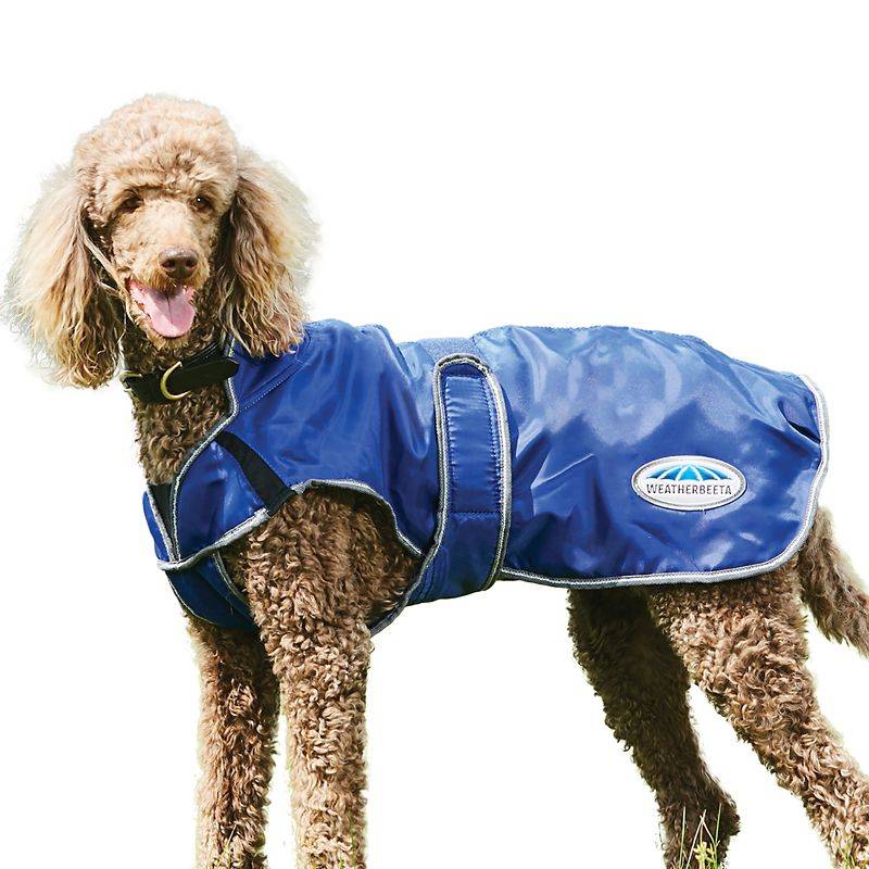 Photos - Dog Clothing WeatherBeeta ComFiTec Windbreaker Free Deluxe Dog Coat 12 Dark Blue/Grey/White 1003914026 