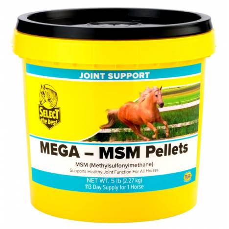 Select the Best Mega MSM Pellets