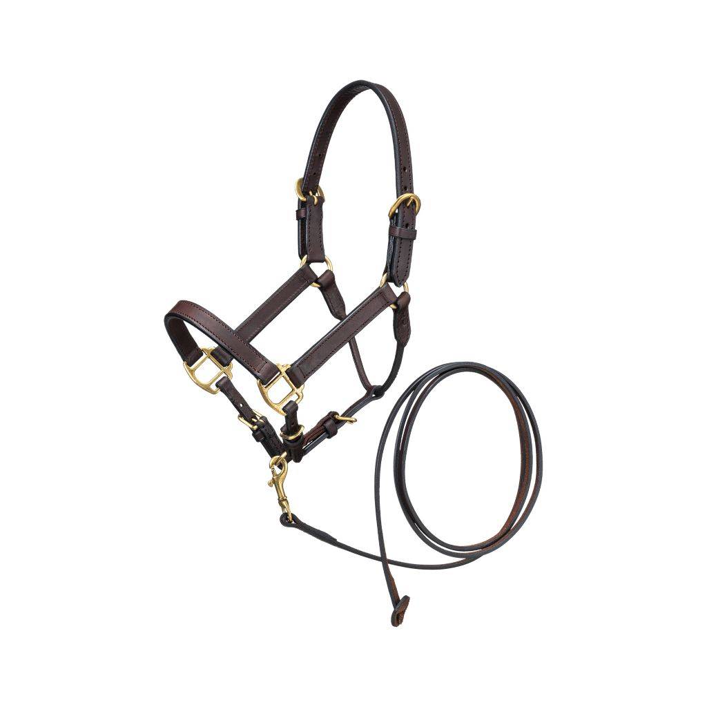 Ozark Mini Leather Halter