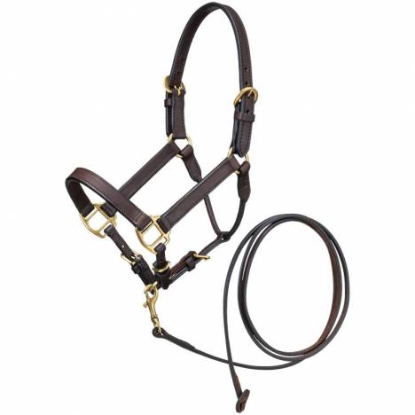 Ozark Mini Leather Halter