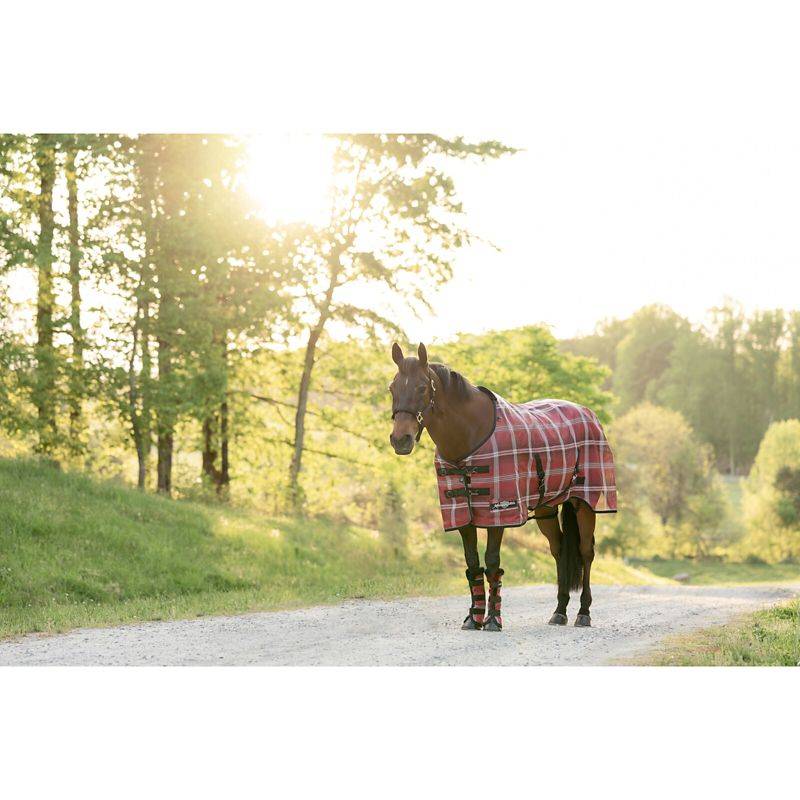 Kensington Horse Protective SureFit Fly Sheet